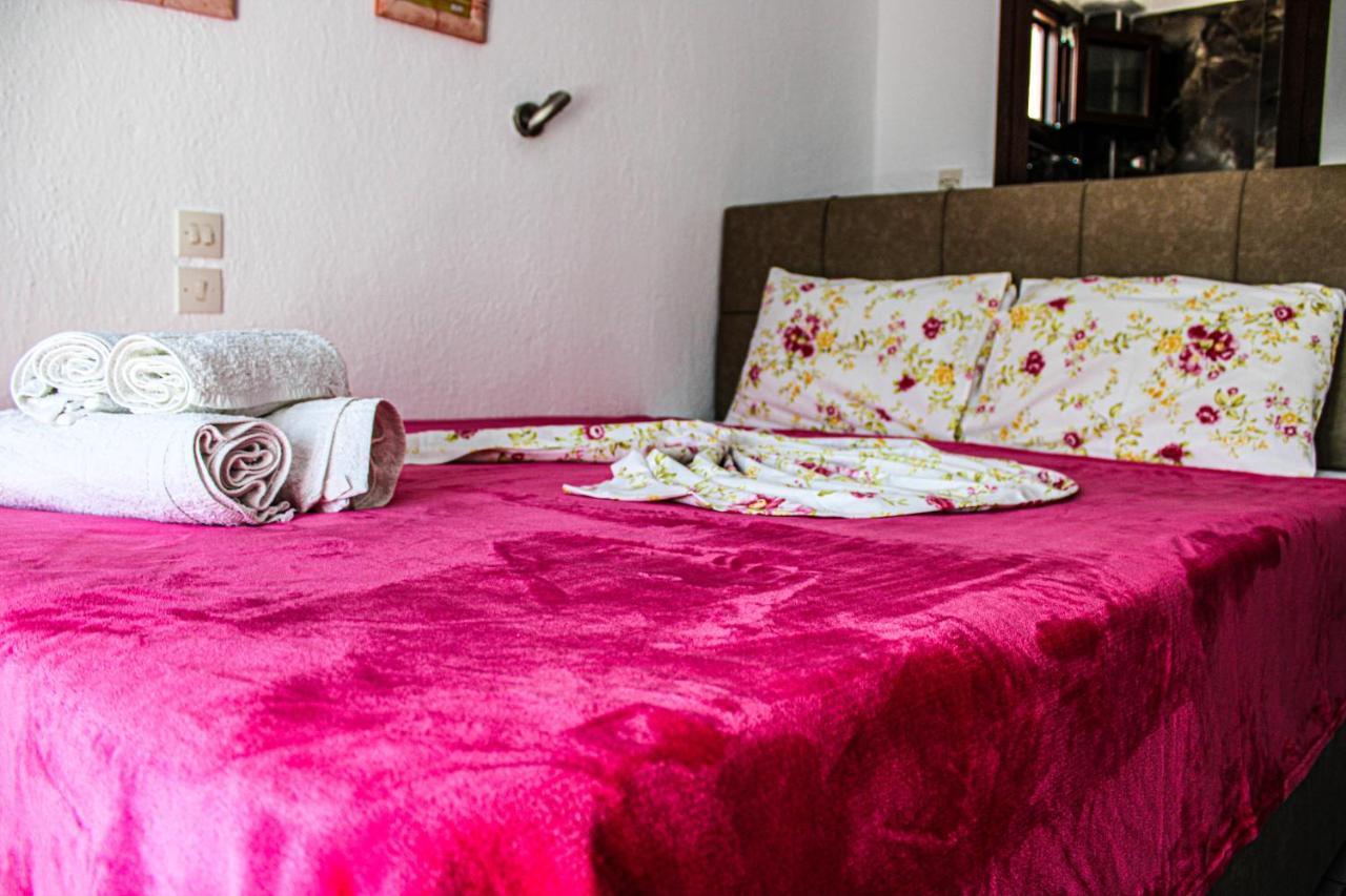 Theano Apartment Paralia Sikias